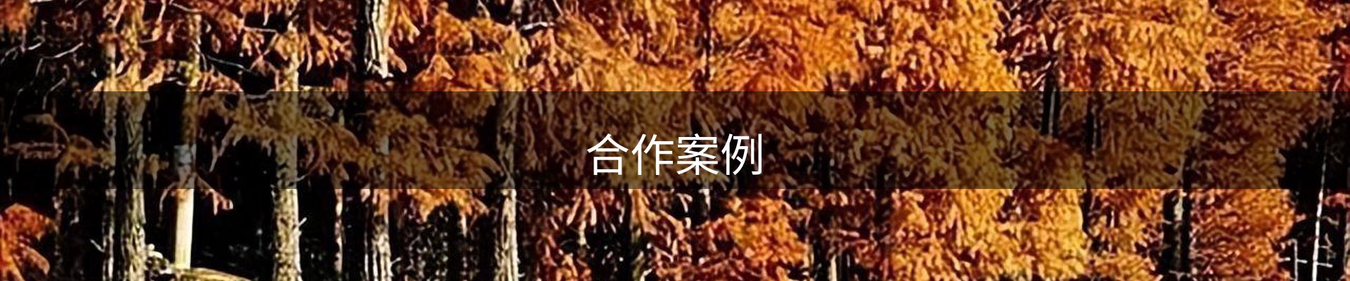 内页banner