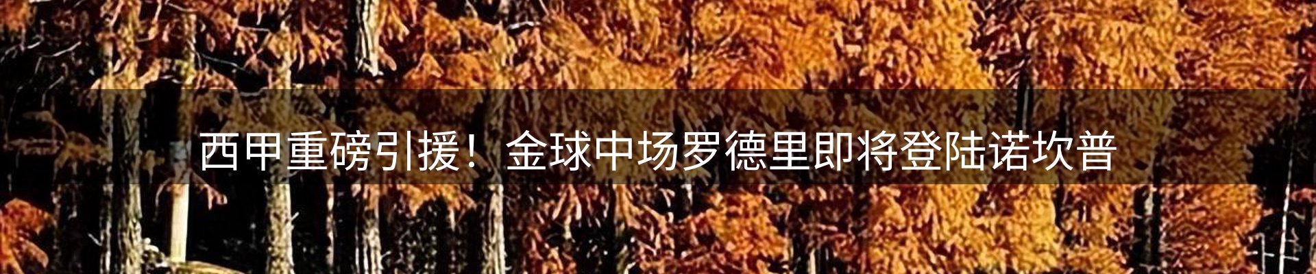 内页banner